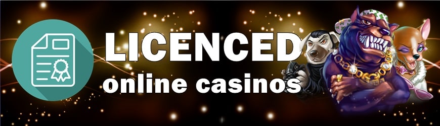 Licensed online casino
